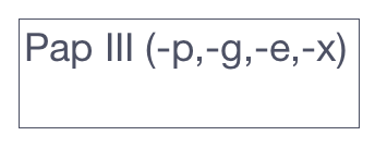 Pap III (-p,-g,-e,-x)
