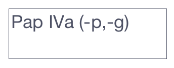 Pap IVa (-p,-g)

